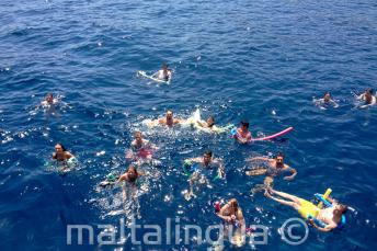 Un grupo de estudiantes de inglés nadando juntos
