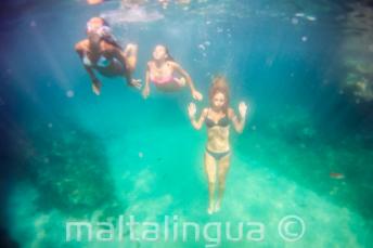 3 amigos nadando bajo el mar