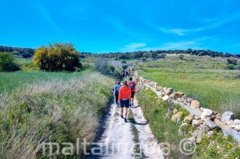 Un grupo de estudiantes caminando por el campo en Malta