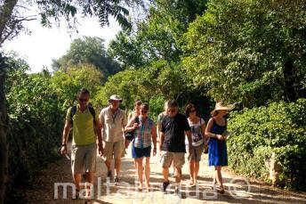 Visitas guiadas en inglés por la naturaleza maltesa